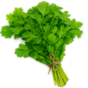 CORIENDER