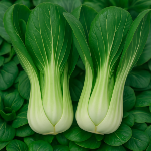 PAK CHOI