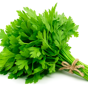 PARSLEY
