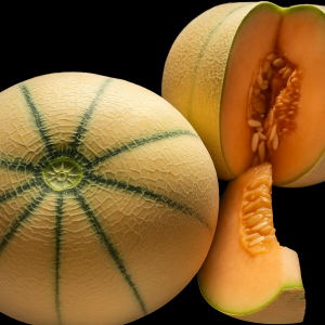 MUSK MELON