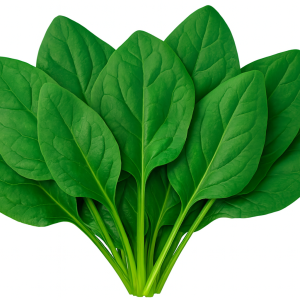 SPINACH