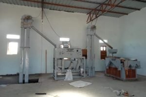 WhatsApp Image 2025-06-18 at 11.29.30 AM (1)